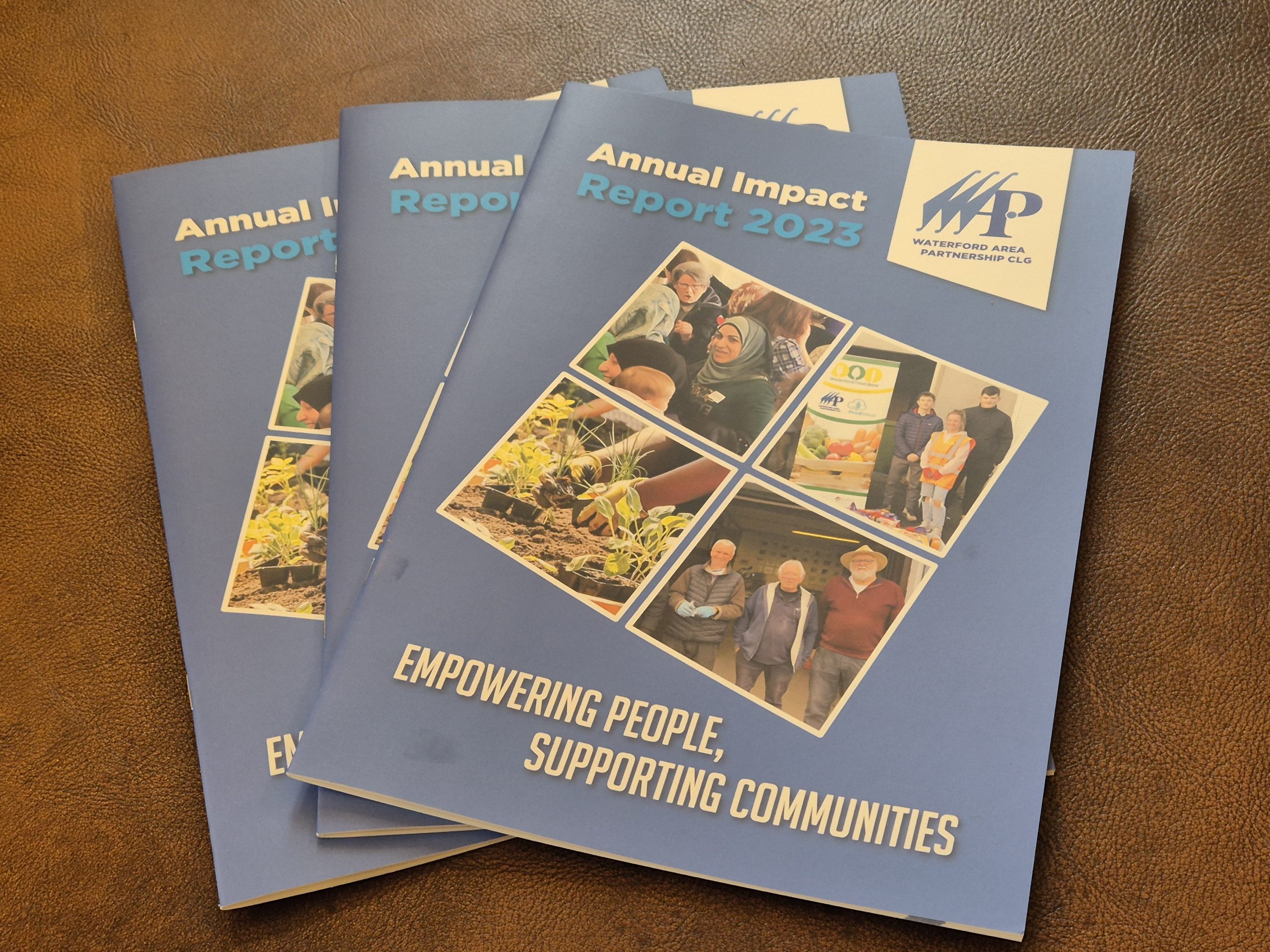 Annual Impact Report 2023